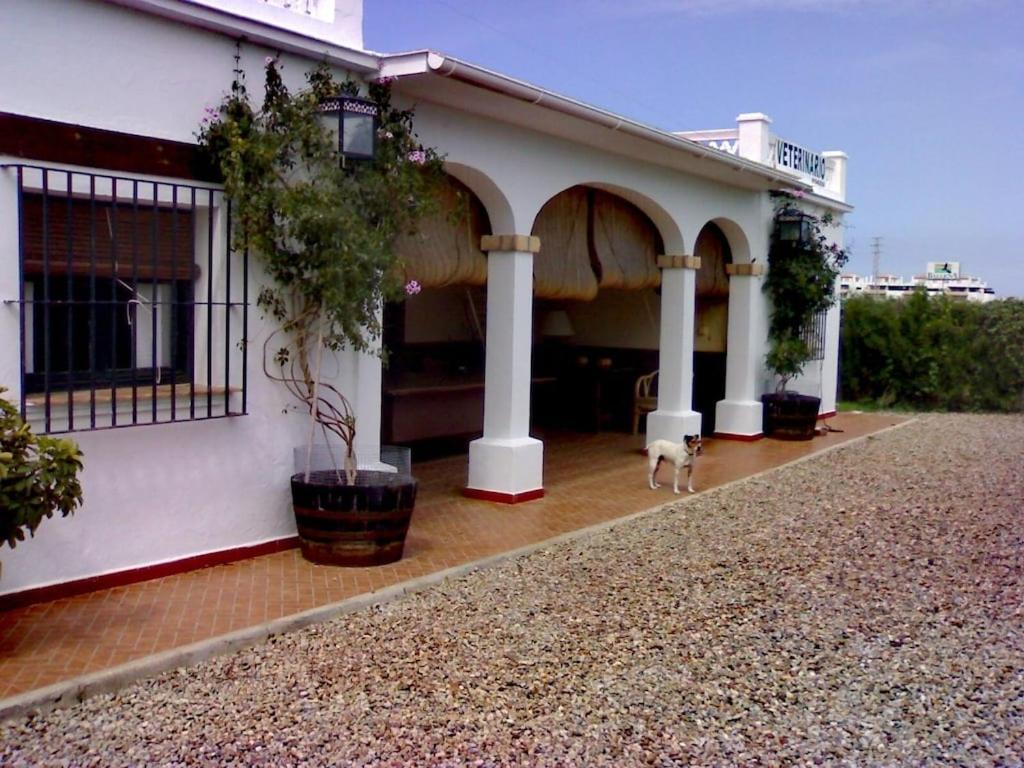 El Campito, Piscina, Bbq, Ping-pong, Billar, 10 Min Andando De La Playa
