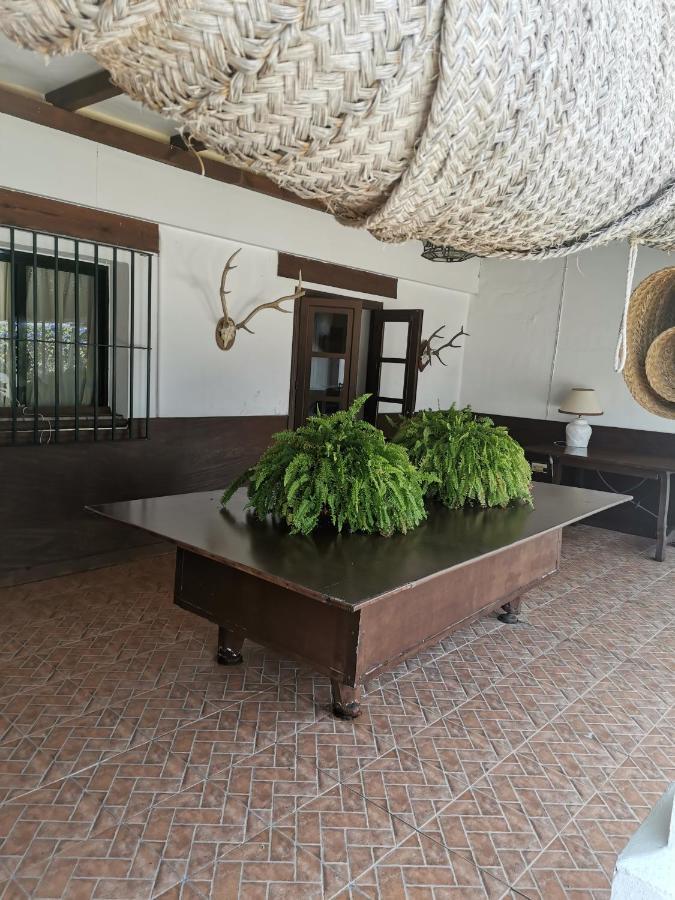 Сasa de vacaciones El Campito, Piscina, Bbq, Ping-pong, Billar, 10 Min Andando De La Playa Rota